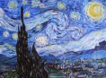 /album/galleria-fotografica/mio-falso-van-gogh-notte-stellata-2-jpg/